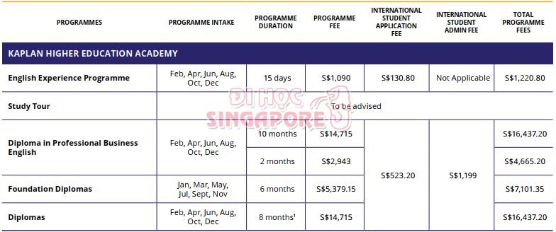 khoá học tại kaplan singapore