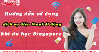 dich vụ di động ở singapore
