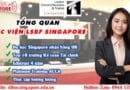 Tổng quan học viện LSBF