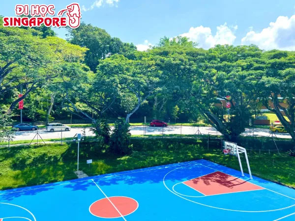 Cơ sở vật chất trường cao đẳng quốc tế Shelton