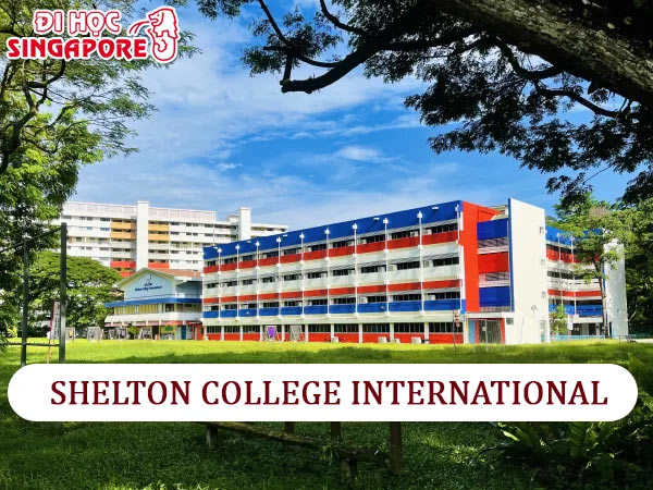 Trường Cao đẳng Shelton College International