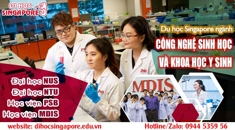 Du học Singapore ngành công nghệ sinh học và y sinh