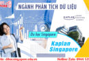 Du học Singapore ngành phân tích dữ liệu tại Kaplan