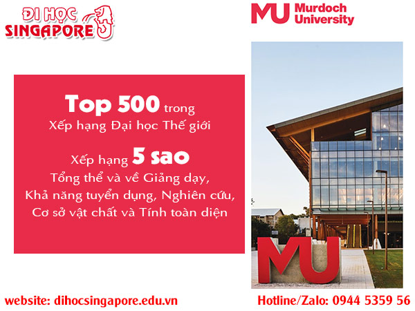 Du học Singapore ngành Phân tích dữ liệu bằng Đại học Murdoch