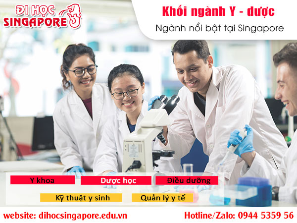 Khối ngành y - chăm sóc sức khoẻ tại Singapore