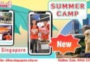 Tổng hớp chương trình du học hè Singapore