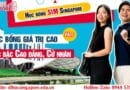 Học bổng SIM Singapore 2025 - 2026