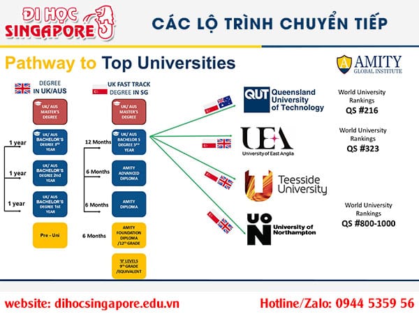 Các lộ trình chuyển tiếp tại Amity Singapore