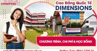 Cao đẳng quốc tế Dimensions International College