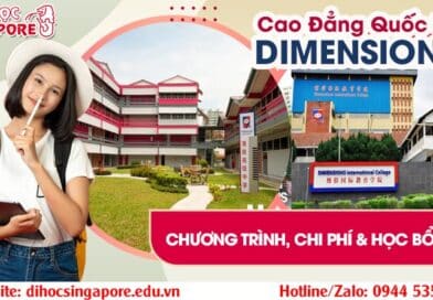 Cao đẳng quốc tế Dimensions International College