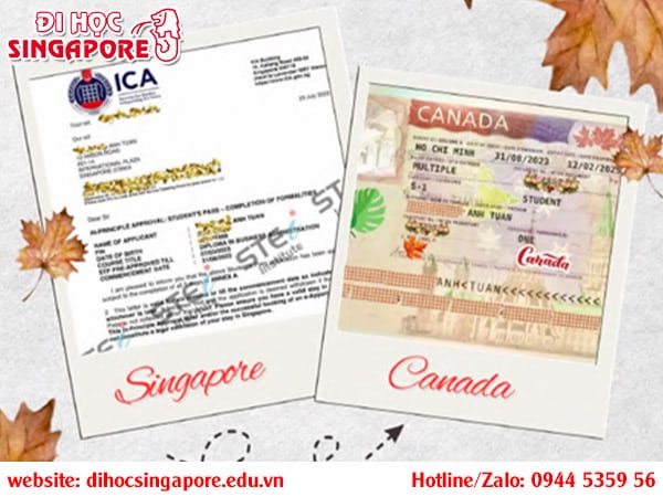 Du học Singapore chuyển tiếp Canada thành công tại STEi
