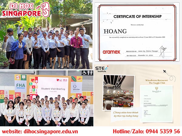 Sinh viên học viện STEi tham gia thực tập hưởng lương
