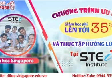 học bổng tại học viện STEi Singapore
