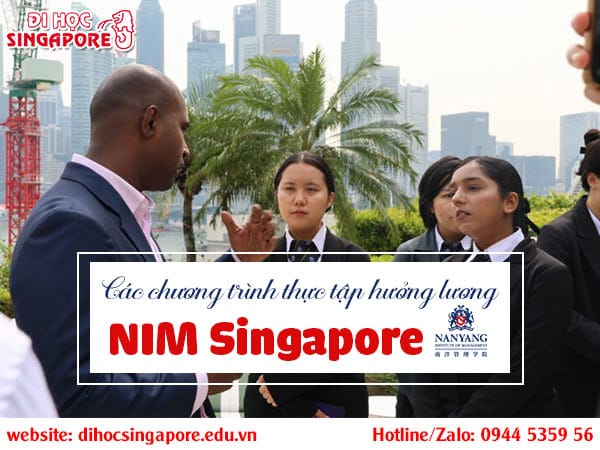 Các chương trình thực tập có lương tại học viện NIM
