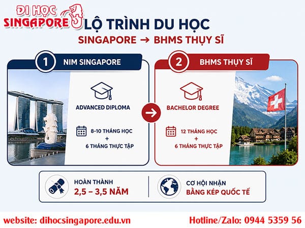 Lộ trình du học Singapore chuyển tiếp Thuỵ Sĩ tiêu biểu
