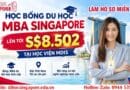 Học bổng chương trình MBA tại MDIS