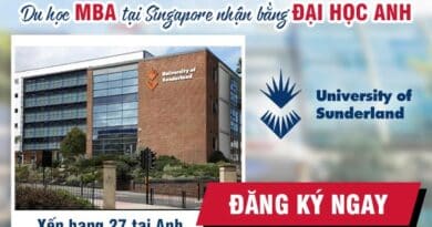 Tổng quan chương trình MBA tại MDIS